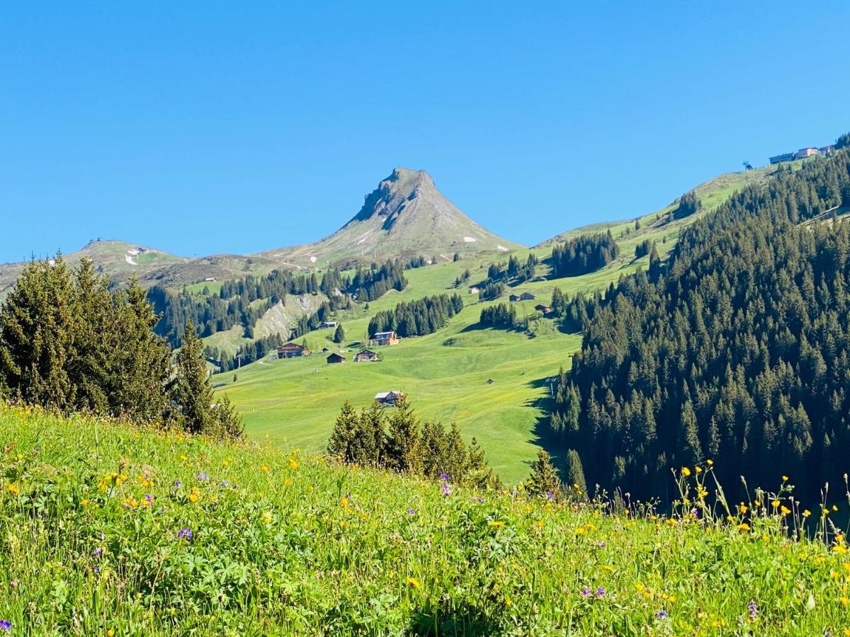 Hotel Garni Enzian Damuels Bagian luar foto